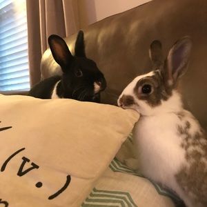 Meet your Posher, Olivia